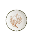 (Set of 6) Cabinet of Curiosities: Porcelain Bread Plates