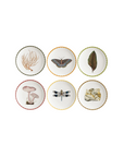 (Set of 6) Cabinet of Curiosities: Porcelain Bread Plates