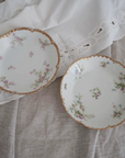 (Set of 2) Haviland & Co Limoges France Fine China Plate – Elegant French Porcelain