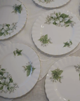 Vintage Royal Albert Trillium Plate | Made in England